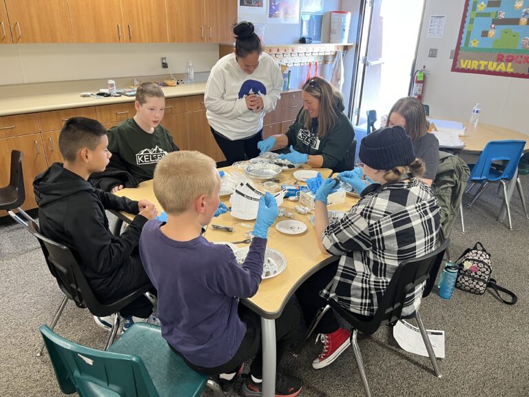 Students work on dissecting Owl Pellets around a table